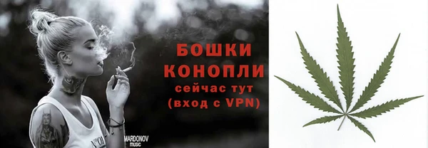 ешки Дмитровск