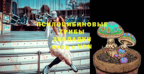 винт Дмитриев