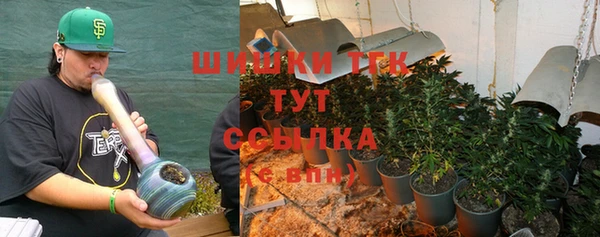 винт Дмитриев