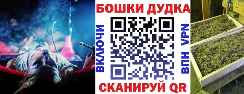 Купить  Пошехонье  Конопля сатива 
